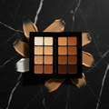 12-Color Concealer and Contour Palette open showing all shades